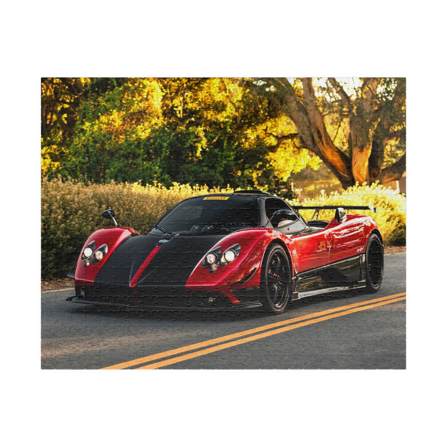 Zonda Cinque Jigsaw Puzzle [110, 252, 520, or 1014 pieces]