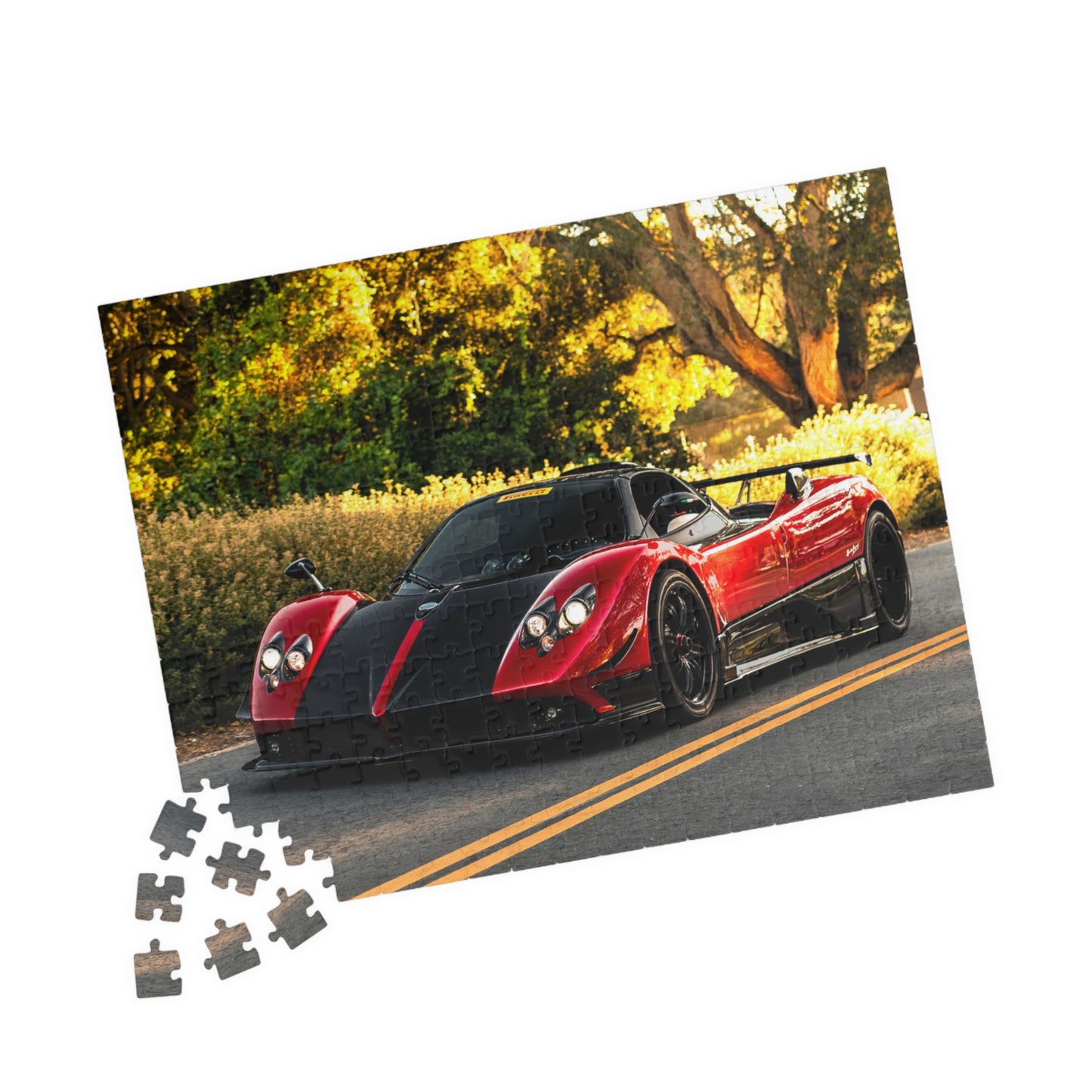 Zonda Cinque Jigsaw Puzzle [110, 252, 520, or 1014 pieces]