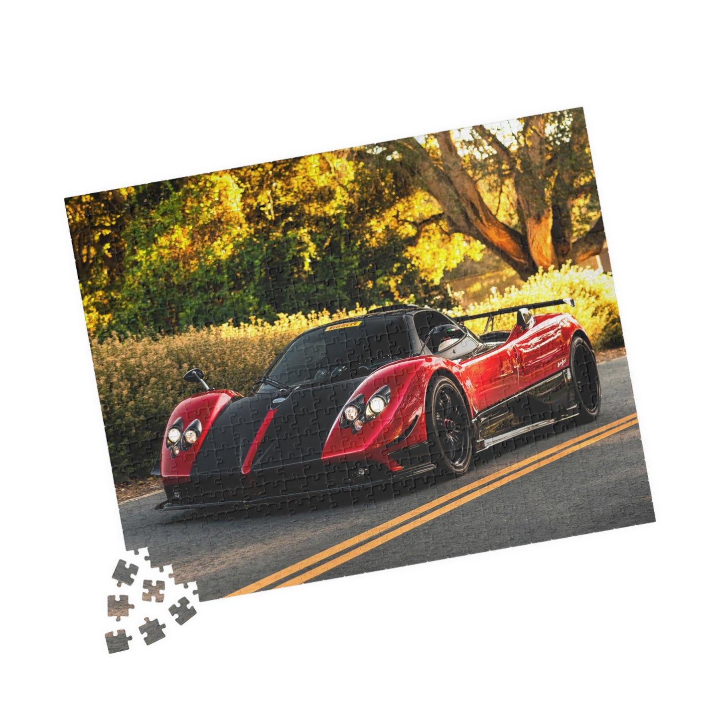 Zonda Cinque Jigsaw Puzzle [110, 252, 520, or 1014 pieces]