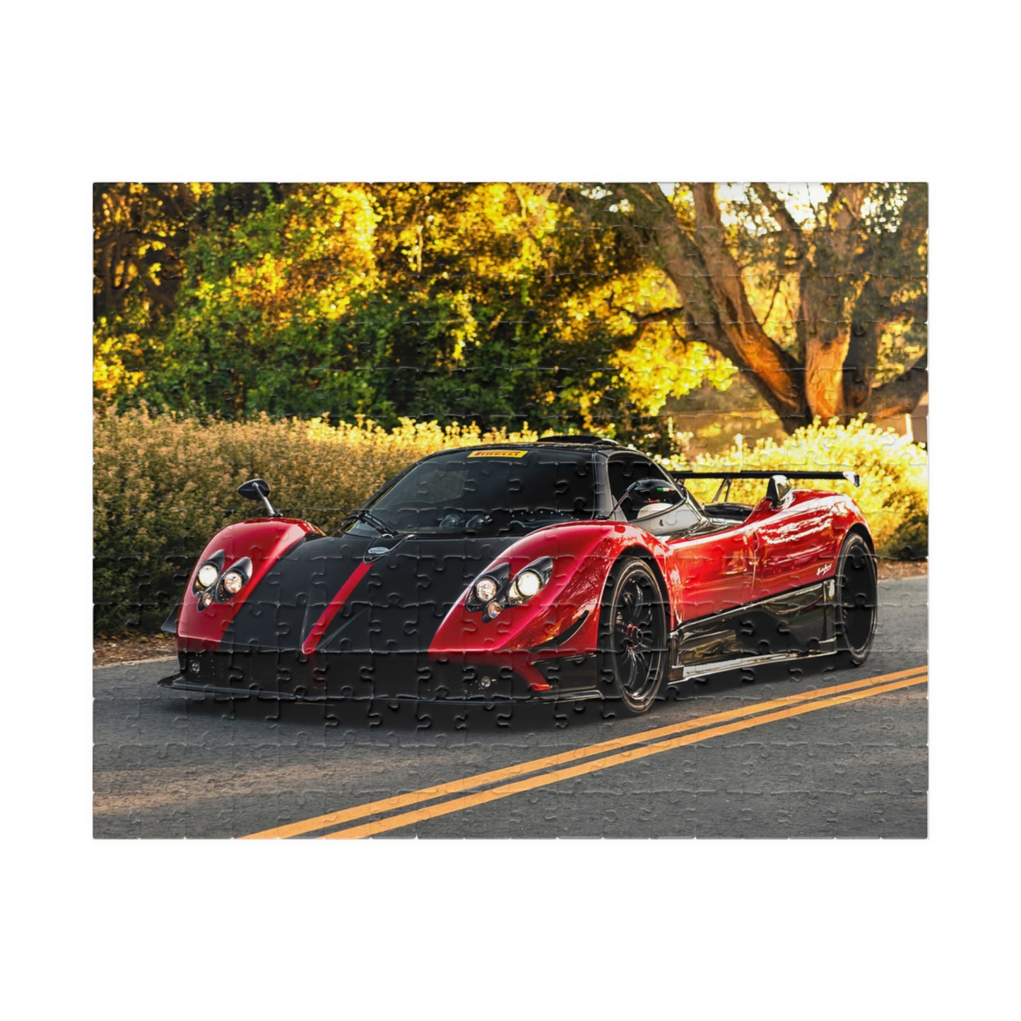 Zonda Cinque Jigsaw Puzzle [110, 252, 520, or 1014 pieces]