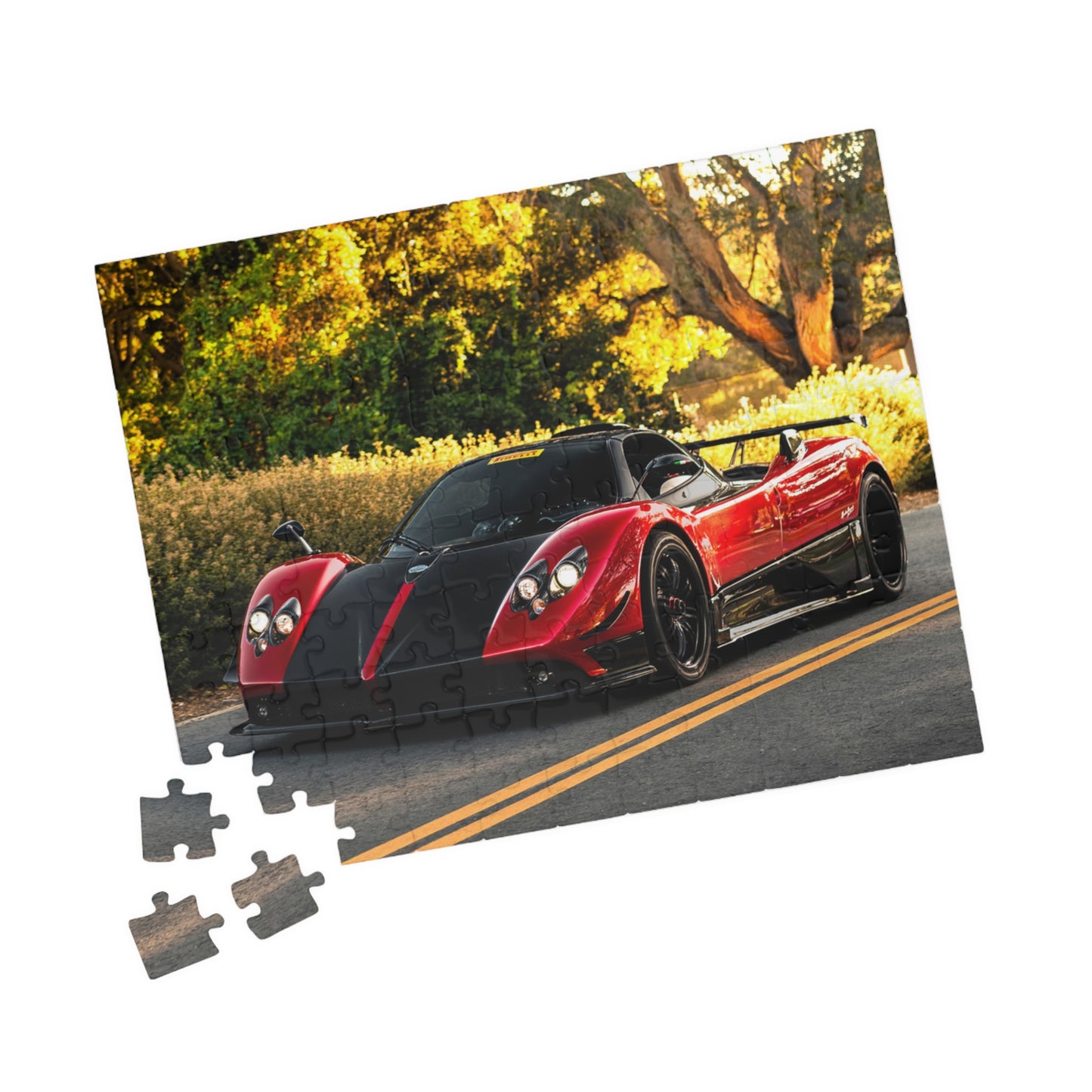 Zonda Cinque Jigsaw Puzzle [110, 252, 520, or 1014 pieces]
