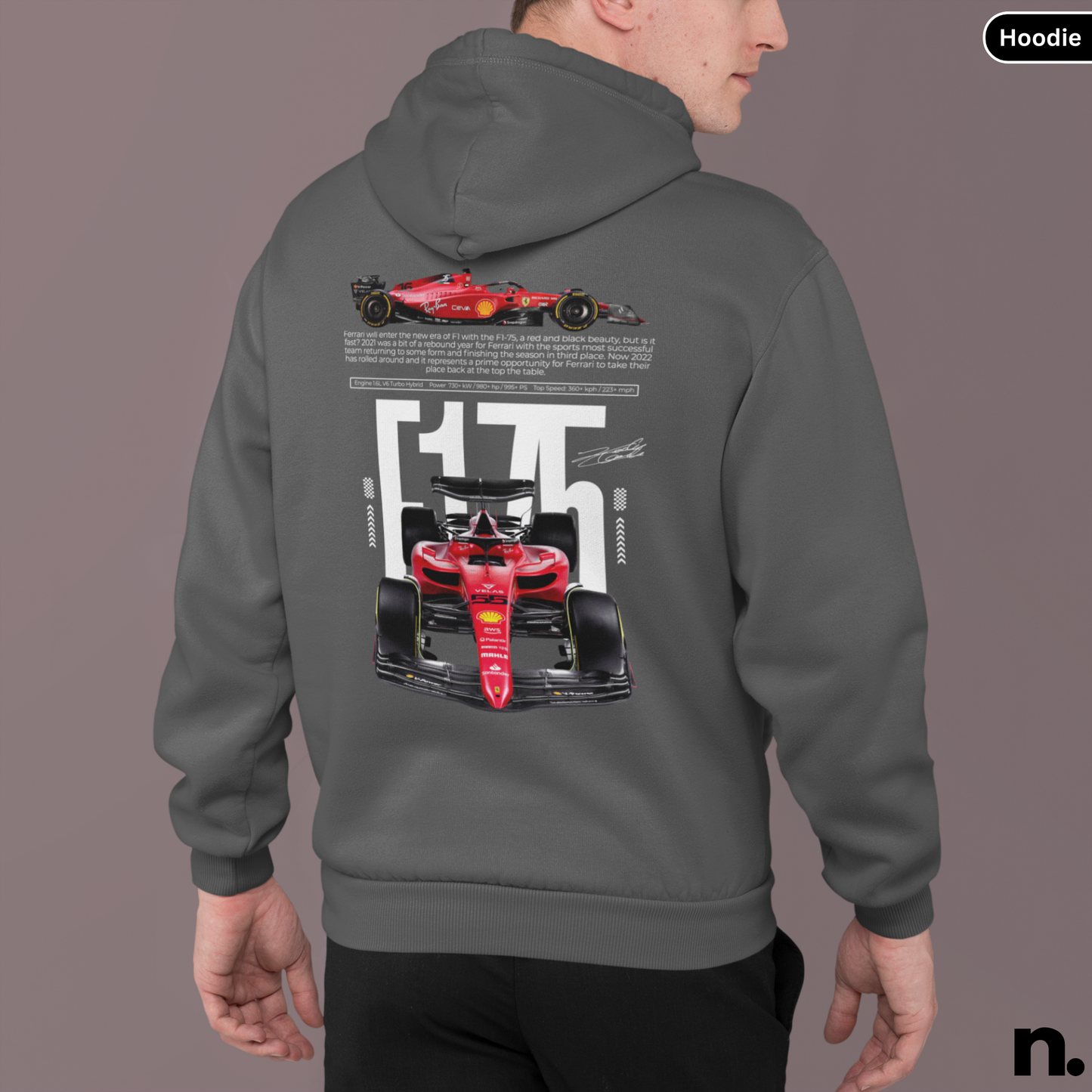 Gray hoodie with Formula 1 car design on the back, displayed on a person against a gray background.