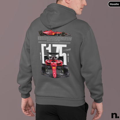 Gray hoodie with Formula 1 car design on the back, displayed on a person against a gray background.