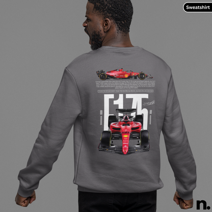 Person wearing a gray sweatshirt with Formula 1 car design on the back, on a gray background.