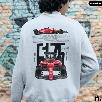 Person wearing a sweatshirt with Formula 1 car design on the back, standing in front of a graffiti wall.